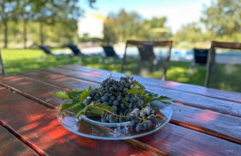 Holliday Home Konjevrate - Foto 19