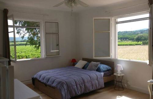 LES VIGNES ET LA PINEDE PRES DE LA PLAGE - Foto 6