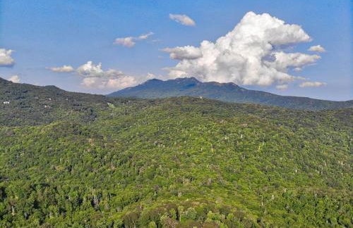 Winds Aloft - Foto 27