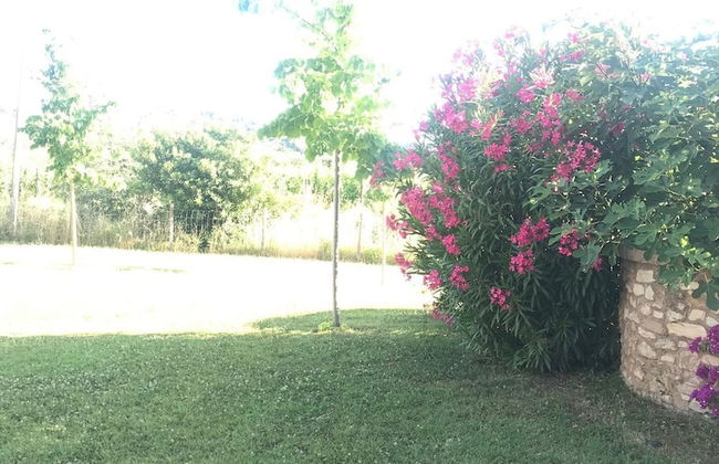 Agriturismo Villa Borgeri - Foto 35