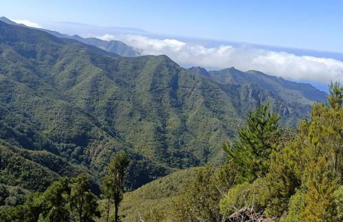 Beautiful 1 Bedroom Apartment with Mountain View - Foto 44