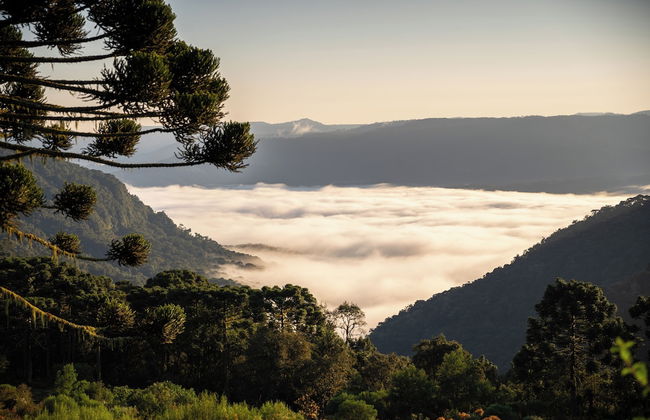 Sítio Mar de Nuvens Chalés de Luxo - Photo 43