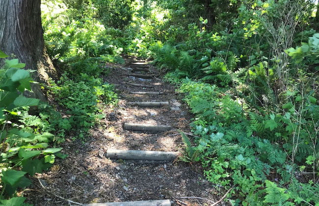 07MF - Lake Front - Hot Tub - BBQ - Sleeps 8 - Foto 28