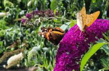 Dom Na Skarpie - Ucieczka Na Wieś - Samodzielne wejście na szyfr, 100m2 - Foto 18