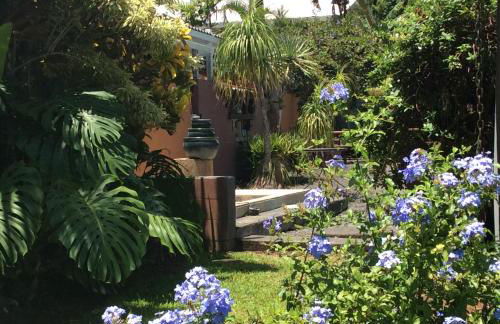 Mediteranean style Ohana Rental / Garden Bungalow in Pahoa - Photo 28