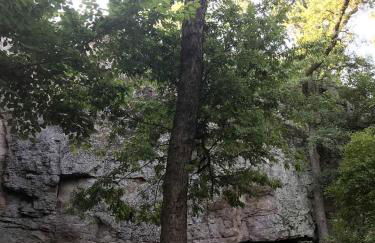 The Casa Estiva- A Restful Getaway in the Forest in Weatherford, TX - Foto 10