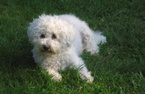 Romantic Studio Vacances - Foto 27