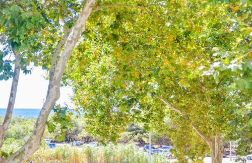 Carcavelos Beach & Business by The Portuguese Butler - Photo 12