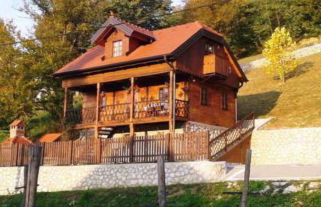 Vila Trnoružica - Foto 48