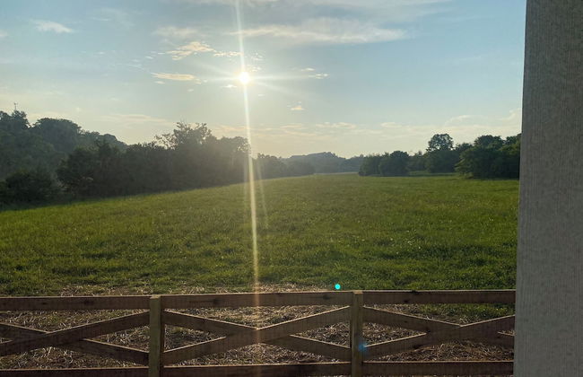 Circle T Mini Farms - Foto 17