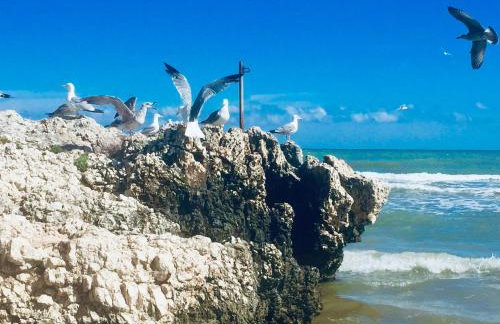 Il gabbiano, attico con terrazzo vista mare - Foto 1