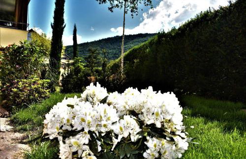 FVH Family Vacation Heidelberg - Foto 32