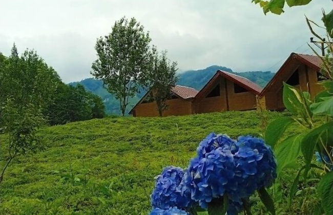 Kamelya Dag Evleri - Foto 25