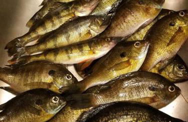 Sandy Hollow - Photo 19