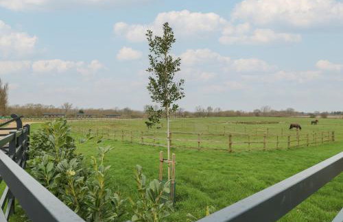 Holly Lodge - Foto 17