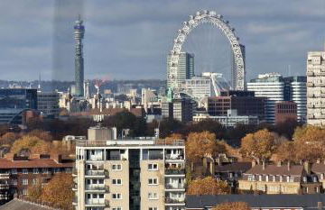 Home for the Holidays - Photo 4