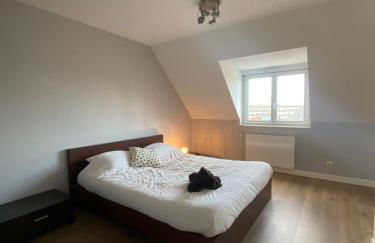 2 chambres Hyper centre avec place de Parking et WIFI - Foto 8