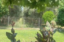 paralia ofriniou beautiful house - Photo 43