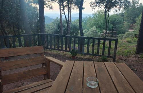 Cabaña con vistas en Mas Coguleras - Photo 17