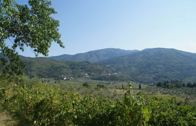 Agriturismo Poggio di Montepescoli - Il Ciliegio - Foto 39