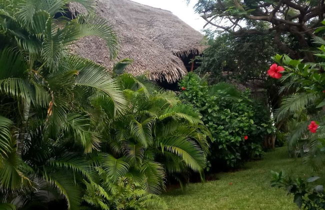 Diamond home 001 - Foto 17