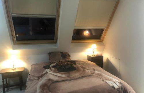 Guadarrama, ático nuevo con espectaculares vistas - Foto 10