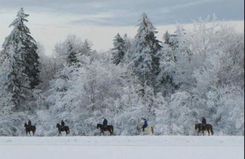 RF219 Hot tub,Heated garage and Parking - Foto 42