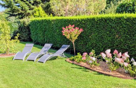 Les Marguerites - Foto 33