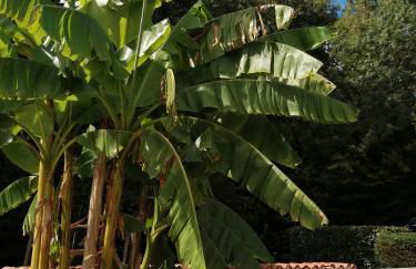 Gîte La Rocardière XL 10 personnes - Photo 17