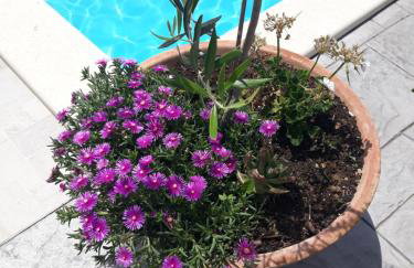 Holiday Home Bepo - Photo 19