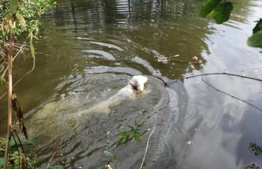 Ferienwohnung Julianna - Foto 23