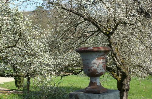 Les Communs du Manoir - Foto 32