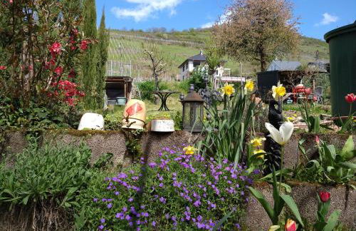 Ferienhaus Casa Alfredo - Foto 20