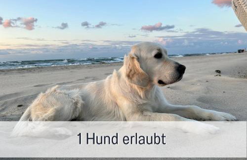 2 Zimmer App Dünengarten Lieblingsplatz Wg11 - Photo 10