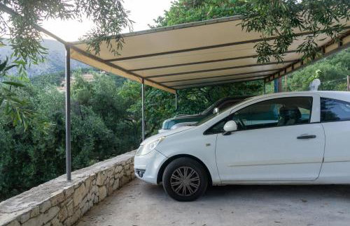 Lemon Tree House - Foto 28