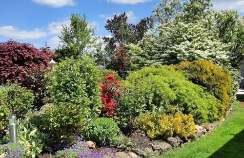 Ferienwohnung Kirsch - Foto 25