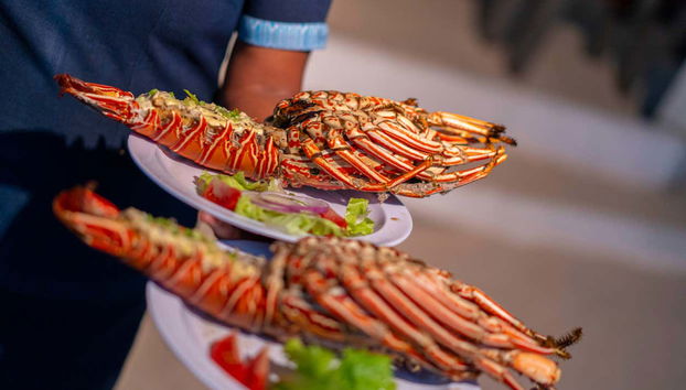 Homard à déguster à bord