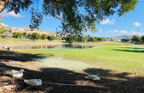 Céntrico Conjunto Habitacional Alicante - Photo 45