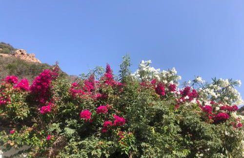 Piana - vue mer et village - Foto 27