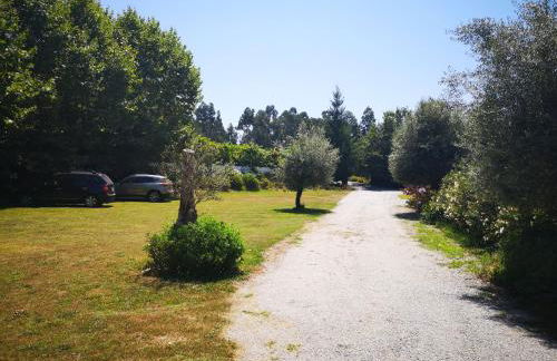 T0 Eira Trás - Foto 15