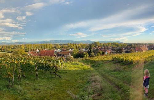 Apartment am Weinberg by Interhome - Foto 16