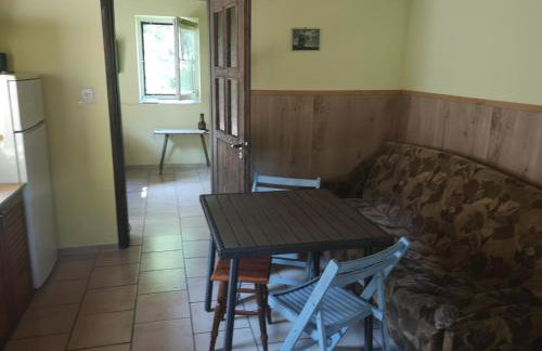 Agroturystyka Wilczyn Cegielnia - Foto 37