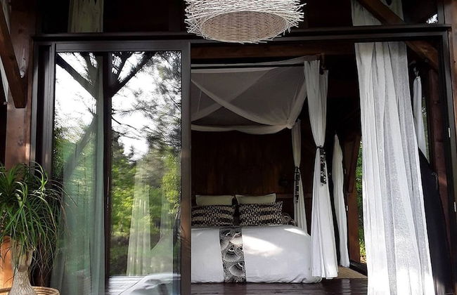 Les Landines - Foto 30