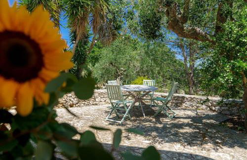 Villa Azzurra - casa vacanze - Foto 28