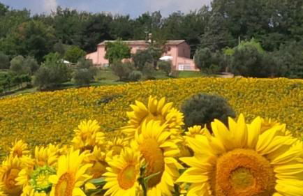 Villa Sant'Elena - Foto 4