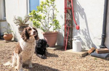 Humphries Cross Apartments - Foto 35