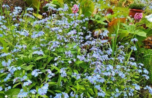 Komfortowy dom wakacyjny dla kilku rodzin - Foto 9