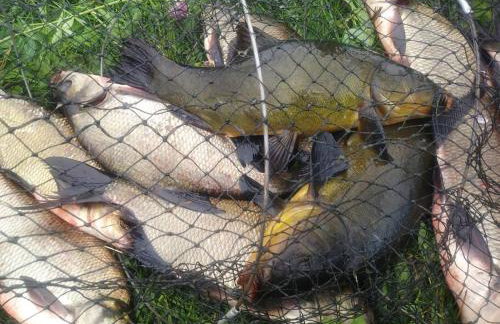 Komfortowy dom wakacyjny dla kilku rodzin - Foto 41