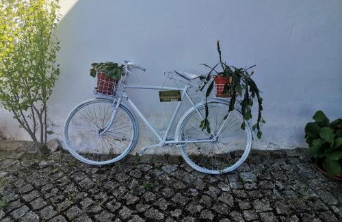 Quinta do Retiro - Foto 30