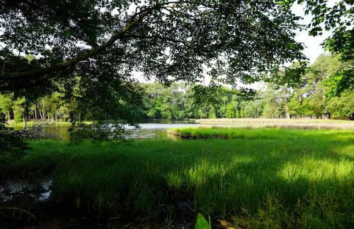 Luxe 2BR Cabin with Deck and Creek View - Working Farm - Foto 20